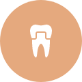 Animated tooth with dental crown highlighted